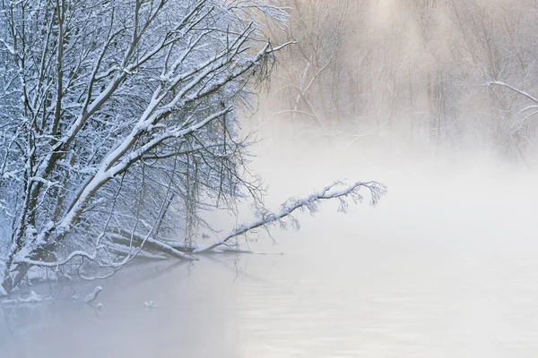 Paesaggio Invernale Nebbioso Del Fiume Kalamazoo Incorniciato Alberi Ghiacciati Michigan — Foto Stock