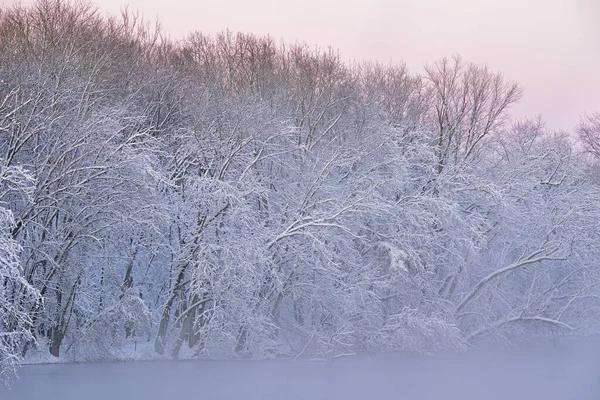 Winter Landscape Foggy Shoreline Kalamazoo River Snow Flocked Trees Dawn — Stock Photo, Image