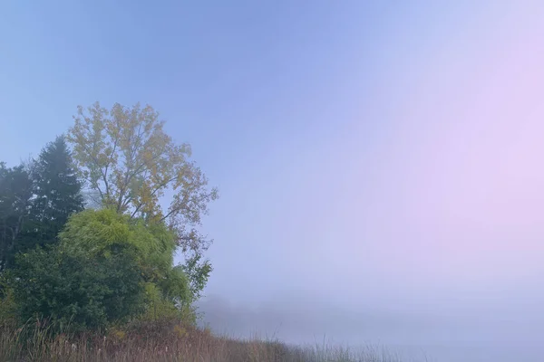 Autumn Landscape Dawn Shoreline Whitford Lake Fog Fort Custer State — Stock Photo, Image