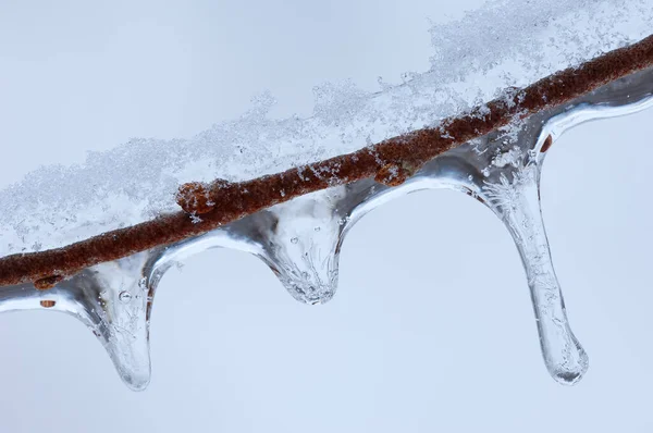 Close Icicles Twig Formed Winter Freezing Rain Event — Stock Photo, Image