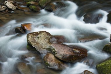 Little River akıntılarının manzarası hareket bulanıklığıyla, Great Smoky Dağları Ulusal Parkı, Tennessee, Usa