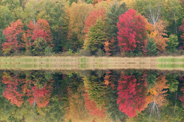 美国密歇根州上半岛的Hiawatha国家森林 多伊湖畔的雾气 秋天的风景 平静的水面上倒映出了自己的倒影 — 图库照片