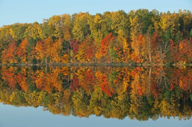 Autumn landscape of the shoreline of Moccasin Lake with mirrored reflections in calm water, Hiawatha National Forest, Michigan's Upper Peninsula, USA clipart