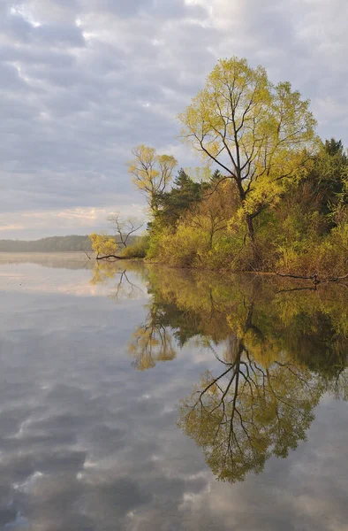 Landschaft Quellufer Des Whitford Lake Mit Schönen Wolken Und Spiegelungen — Stockfoto