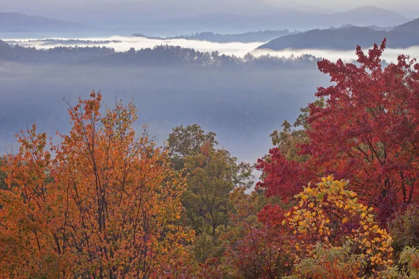 Φθινοπωρινό Τοπίο Στην Ομίχλη Από West Foothills Parkway Great Smoky — Φωτογραφία Αρχείου