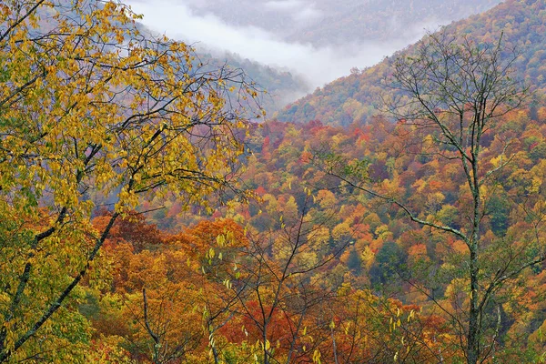 Podzimní Krajina Blue Ridge Parkway Severní Karolína Usa — Stock fotografie