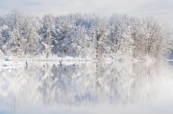 Niebla Paisaje Invernal Árboles Cubiertos Nieve Costa Del Lago Jackson — Foto de Stock