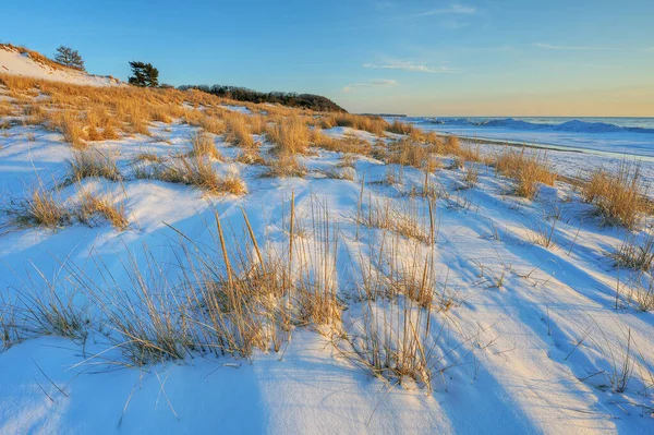 ミシガン湖 サウガタック砂丘州立公園 ミシガン州 アメリカのビーチ草や氷の海岸線の冬の風景 — ストック写真