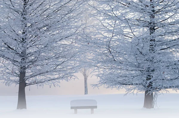 凍った朝の日の出に光霧の中で樹氷と公園ベンチの冬の風景 ミルハム公園 Kalamazoo ミシガン州 — ストック写真