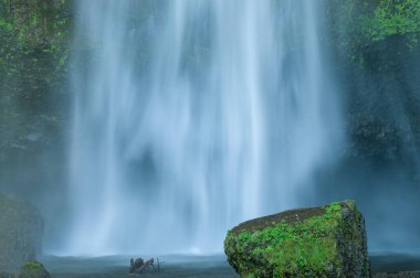 Lower Multnomah Falls 'un yaz manzarası hareket bulanıklığı ile çekildi, Columbia River Gorge, Oregon, ABD