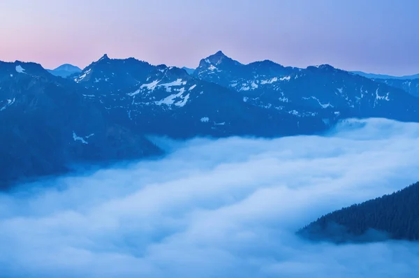 Гірський Ландшафт Світанку Каскадний Хребет Ranier National Park Washington Usa — стокове фото