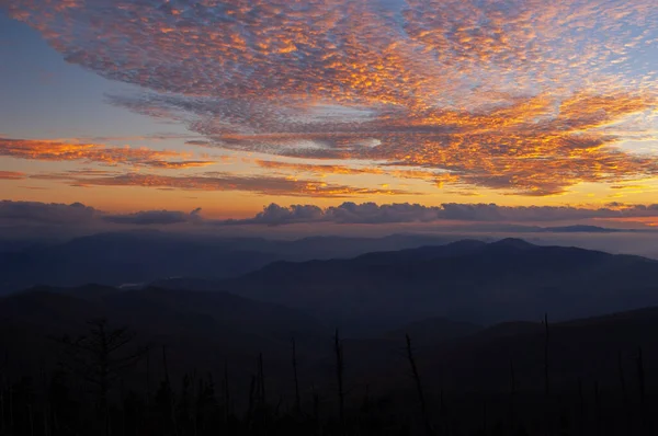 Krajobraz Zmierzchu Kopuły Clingmana Park Narodowy Great Smoky Mountains Tennessee — Zdjęcie stockowe
