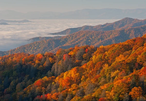 Dumanlı Dağlar 'ın sonbahar manzarası, Deep Creek Overlook, Great Smoky Dağları Ulusal Parkı, Kuzey Carolina, ABD
