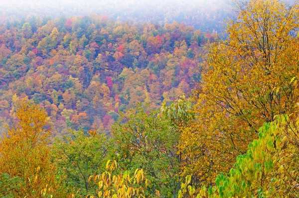 Φθινόπωρο Τοπίο Great Smoky Βουνά Deep Creek Overlook Great Smoky — Φωτογραφία Αρχείου