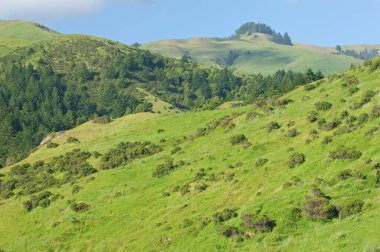 Pasifik Okyanusu, Kayıp Sahil, Kuzey Kaliforniya, ABD 'nin bahar kıyı şeridi manzarası