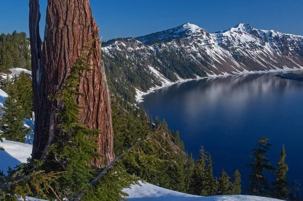 美国俄勒冈州克拉特湖国家公园克拉特湖海岸线冬季景观 — 图库照片
