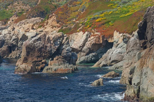 Krajina Pobřeží Tichého Oceánu Rozkvetlými Květinami Jižně Monterey Kalifornie Usa — Stock fotografie