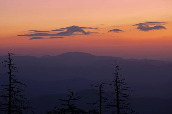 Landschap Bij Schemering Van Clingman Dome Great Smoky Mountains Met — Stockfoto