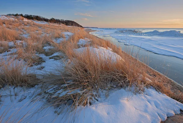 美国密歇根州Saugatuck Dunes州立公园靠近日落的密歇根湖海滩草和结冰海岸线冬季景观 — 图库照片