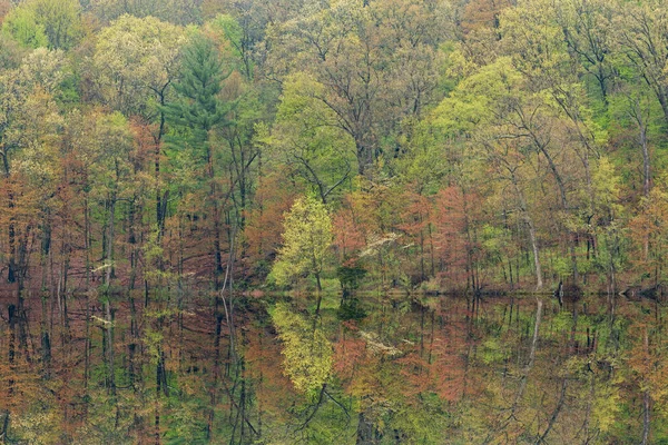 Voorjaar Landschap Van Kustlijn Van Hall Lake Met Spiegelende Reflecties — Stockfoto