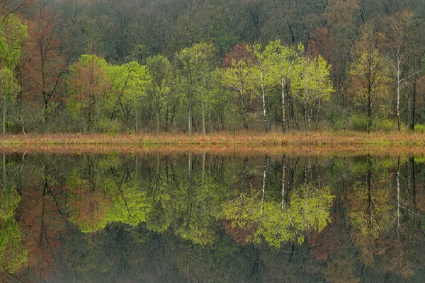 Jarní Krajina Pobřeží Deep Lake Zrcadlovými Odlesky Klidné Vodě Yankee — Stock fotografie