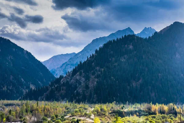 Montañas Tien Shan, Kazajstán cerca de la ciudad de Almaty — Foto de Stock