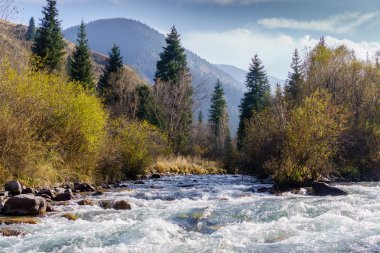 Kazakistan'ın güzel dağ nehir