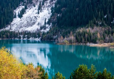 Kazakistan'ın sakin göl orman