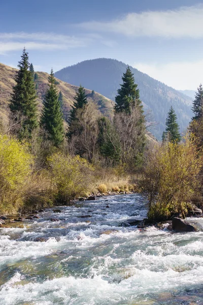Kazakistan'ın güzel dağ nehir