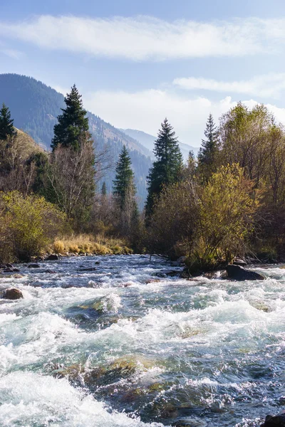 Kazakistan'ın güzel dağ nehir