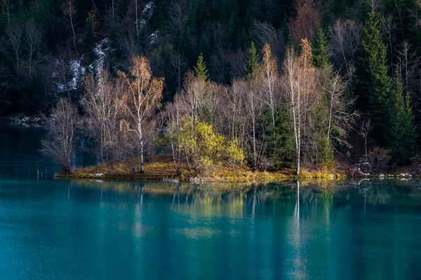 Спокойный лес на берегу озера в Казахстане — стоковое фото
