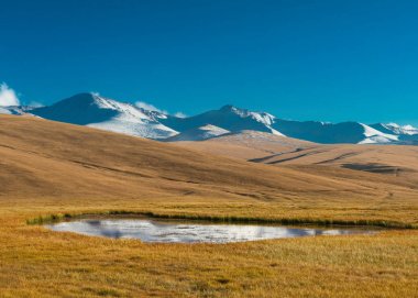 Kazakistan Doğa Manzara, Trans-Ili Alatau, yayla Assy. 