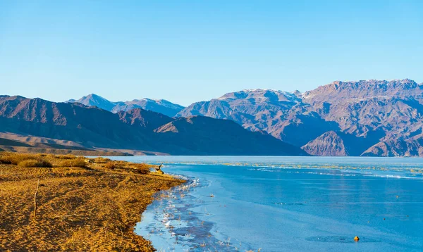 Bartogai Lake Almaty Kazachstán Střední Asie — Stock fotografie