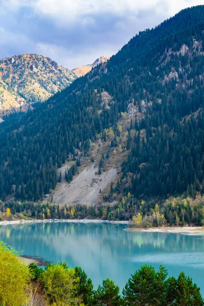 Bosque Tranquilo Junto Lago Kazajstán —  Fotos de Stock