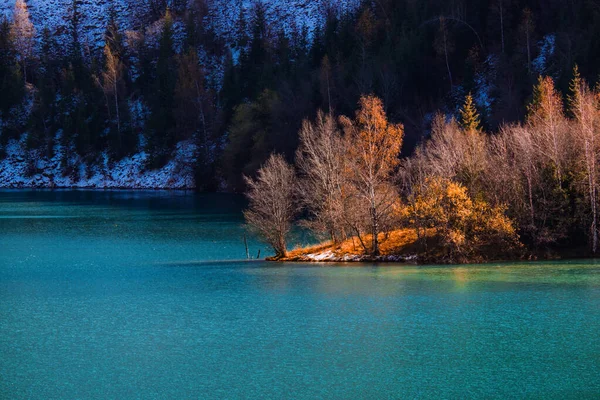 Tranquille forêt au bord du lac au Kazakhstan — Photo