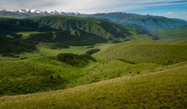 Alp çayırı, Assy Plateau, Almaty City, Kazakistan