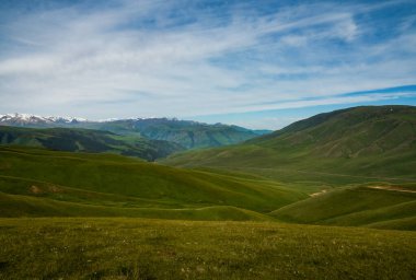 Alp çayırı, Assy Plateau, Almaty City, Kazakistan