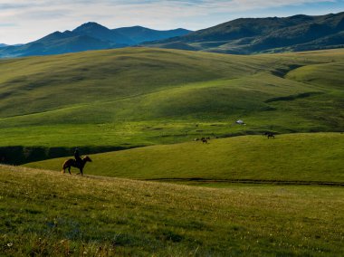 Alp çayırı, Assy Plateau, Almaty City, Kazakistan