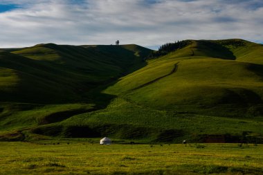 Alp çayırı, Assy Plateau, Almaty City, Kazakistan