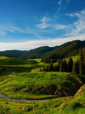 Alp çayırı, Assy Plateau, Almaty City, Kazakistan