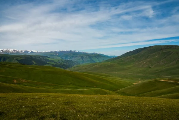 Alpská Louka Náhorní Plošině Assy Město Almaty Kazachstán — Stock fotografie