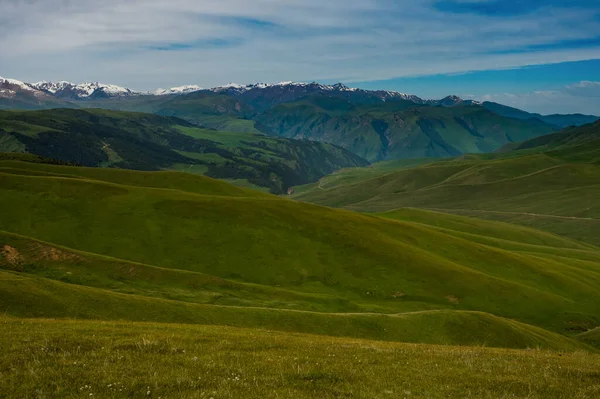 Alpine Meadow Assy Plateau Almaty City Kazakhstan — стокове фото