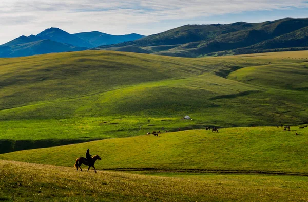 Alpine Meadow Assy Plateau Almaty City Kazakhstan — Stock Photo, Image