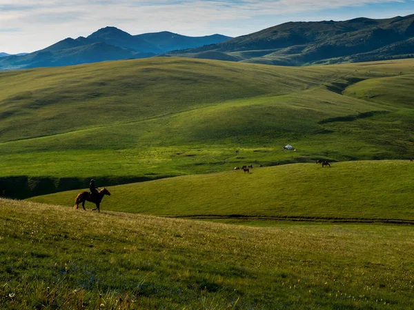 Alpine Meadow Assy Plateau Almaty City Kazakhstan — Stock Photo, Image