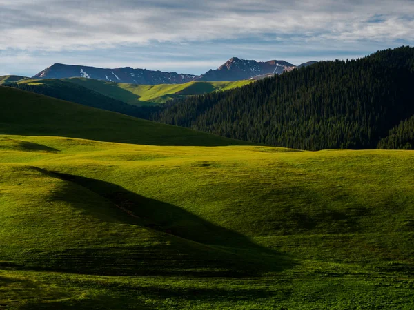 Alpine Meadow Assy Plateau Almaty City Kazakhstan — Stock Photo, Image