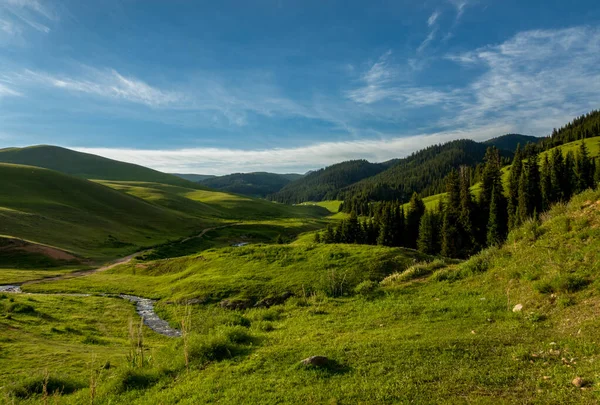 Alpine Meadow Assy Plateau Almaty City Kazakhstan — Stock Photo, Image