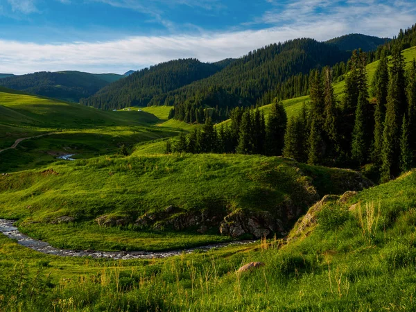 カザフスタンのアルマトイ市Assy高原にある高山草原 — ストック写真