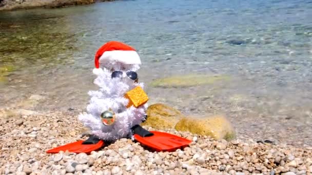 Boneco de neve com barbatanas na praia — Vídeo de Stock