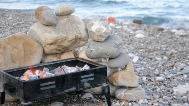 Barbecue sur le gril — Video