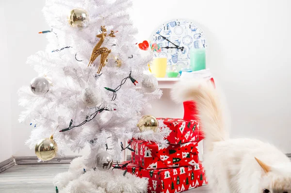 Gato branco perto da árvore de Natal — Fotografia de Stock